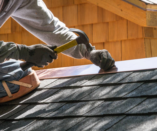 Professional Roofing Contractor in Las Lomas, TX
